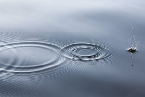 Water droplets create ripples.