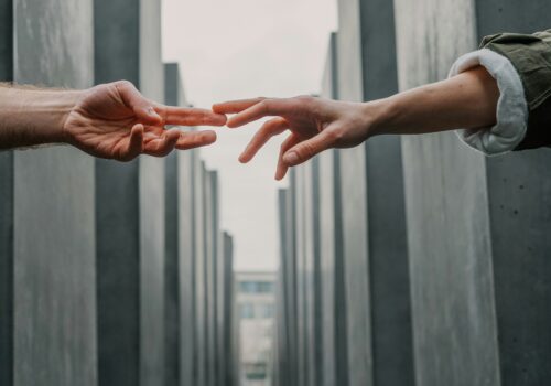 toa heftiba fbCxL wEo5M unsplash